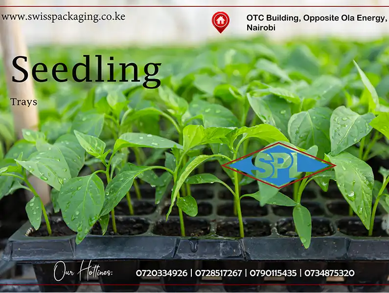 Swiss Packaging Ltd